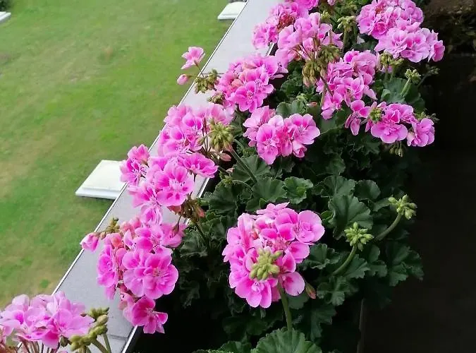 Zimmervermietung Bern