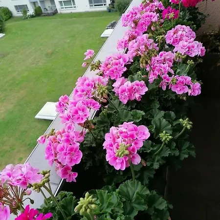 Zimmervermietung Bern