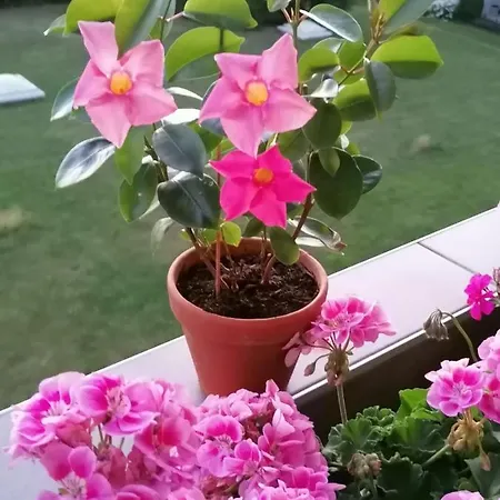 Zimmervermietung * Bern